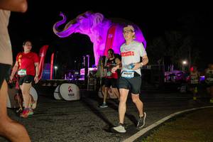 BIB: 
                            <button type="button" onclick="openModal(26534677)" class="btn btn-primary btn-sm float-right btn-popup" data-toggle="modal" data-target=".modal-high-quality">
                        <i class="fas fa-shopping-cart"></i> Add to Cart
                    </button>
                                            <button type="button" onclick="isThisMe(26534677, true)" class="btn btn-success btn-sm float-right btn-popup btn-isme hidden" data-toggle="tooltip" data-placement="bottom" title="นี่คือรูปของคุณใช่ไหม คลิกที่นี่เพื่อเอาเข้าอัลบั้ม">
                        <i class="fas fa-plus"></i> Add to album
                    </button>
                    <button type="button" onclick="isThisMe(26534677, false)" class="btn btn-warning btn-sm float-right btn-popup btn-isnotme hidden">
                        <i class="fas fa-ban"></i> Remove from album
                    </button>